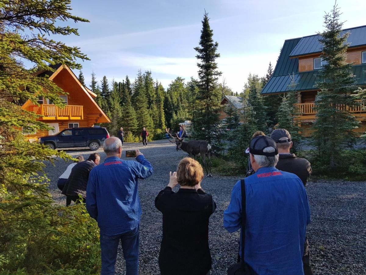 Salmon Catcher Lodge Kenai Exterior photo